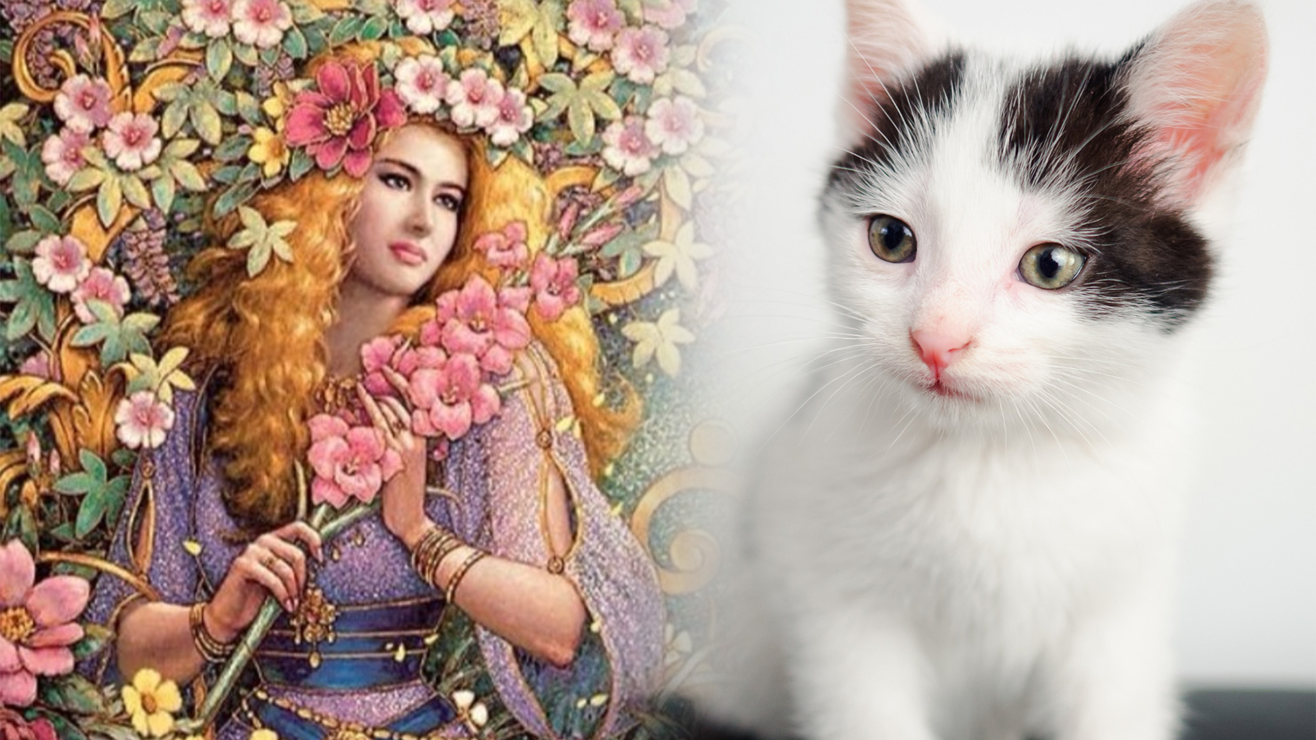 Kedi İsimleri - Astrolojik ve İtalyan Kedi Adları