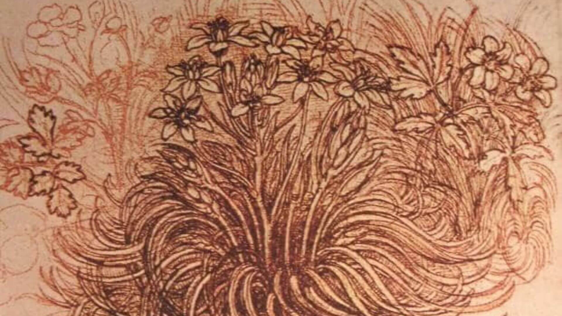 Leonardo da Vinci Hayatı