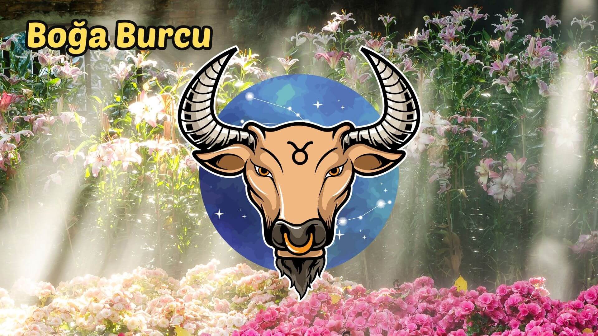 23 Haziran - 29 Haziran 2025 Haftalık Burç Yorumları