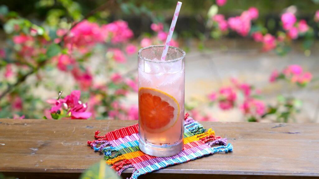 Votka Diyet Ginger Ale Kokteylleri