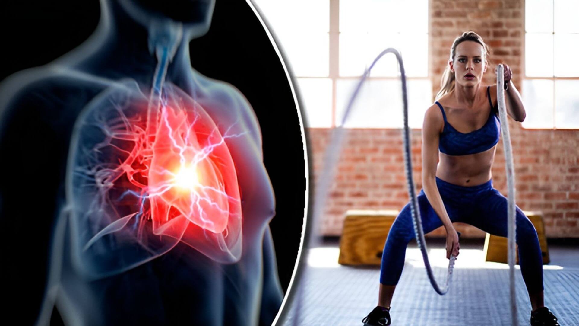 Fitness Ve Egzersiz En Güçlü Uzun Ömür İlacıdır