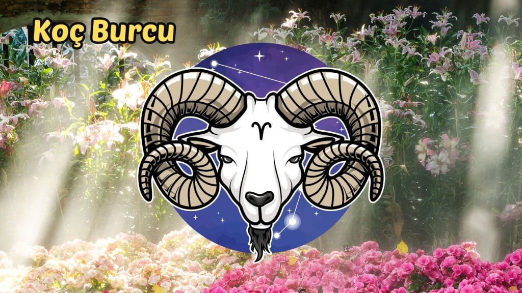 23 Haziran - 29 Haziran 2025 Haftalık Burç Yorumları