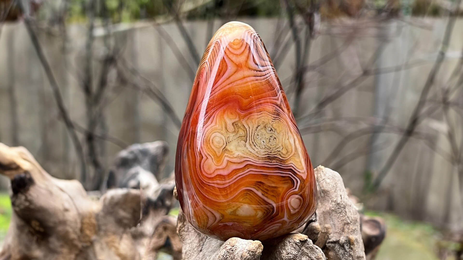 Ağustos Ayı Doğum Taşları Peridot, Spinel ve Sardonyx