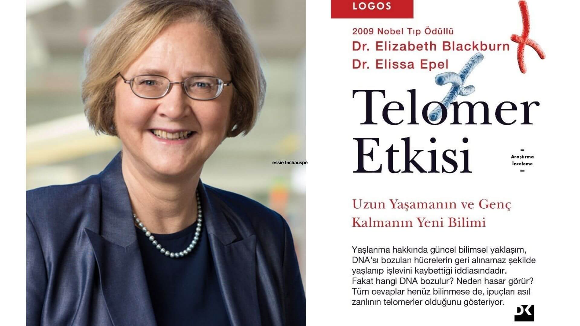 Uzun Ömür Longevity Kitap Önerileri