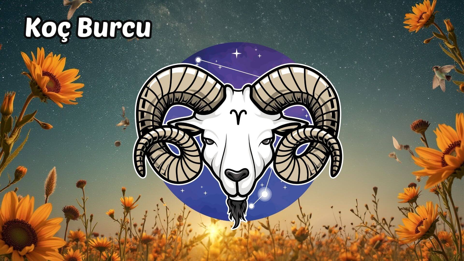 11 – 17 Ağustos 2025 Haftalık Burç Yorumları