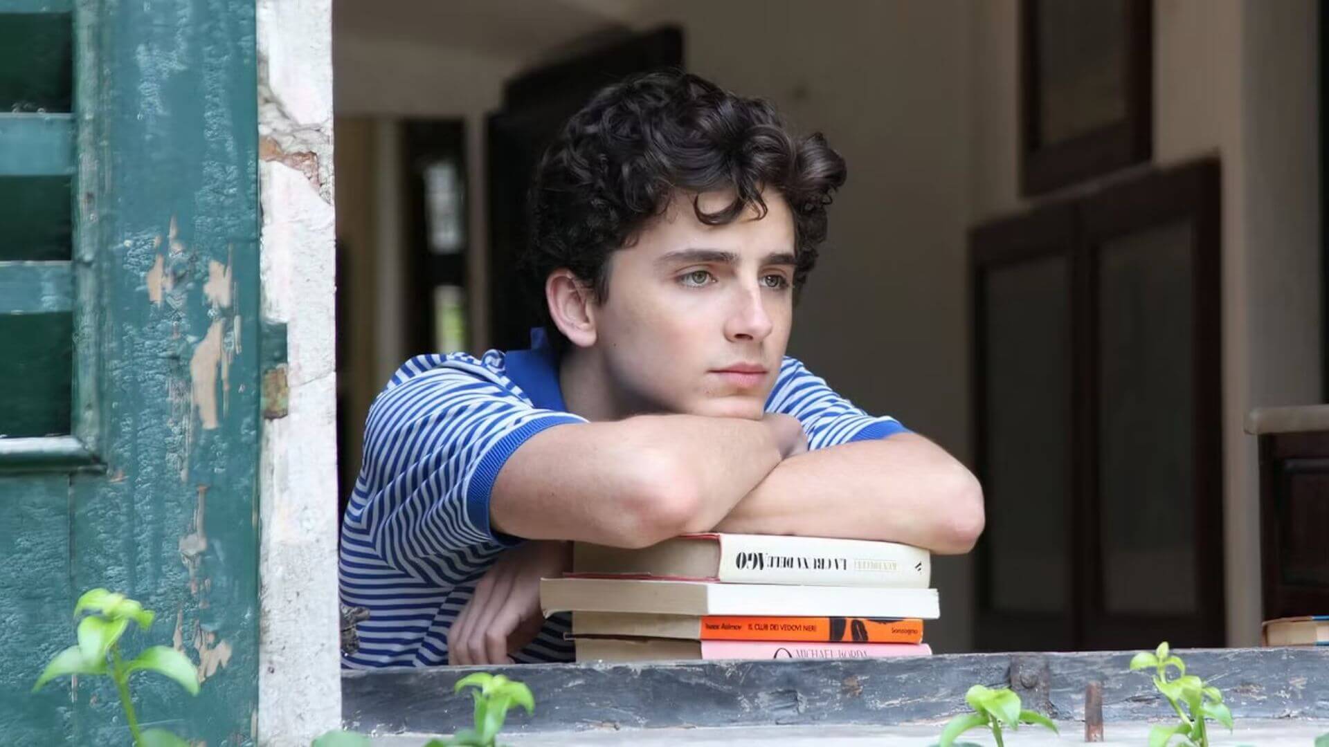 Timothée Chalamet Hayatı, Kariyeri ve Şaşırtıcı Gerçekler