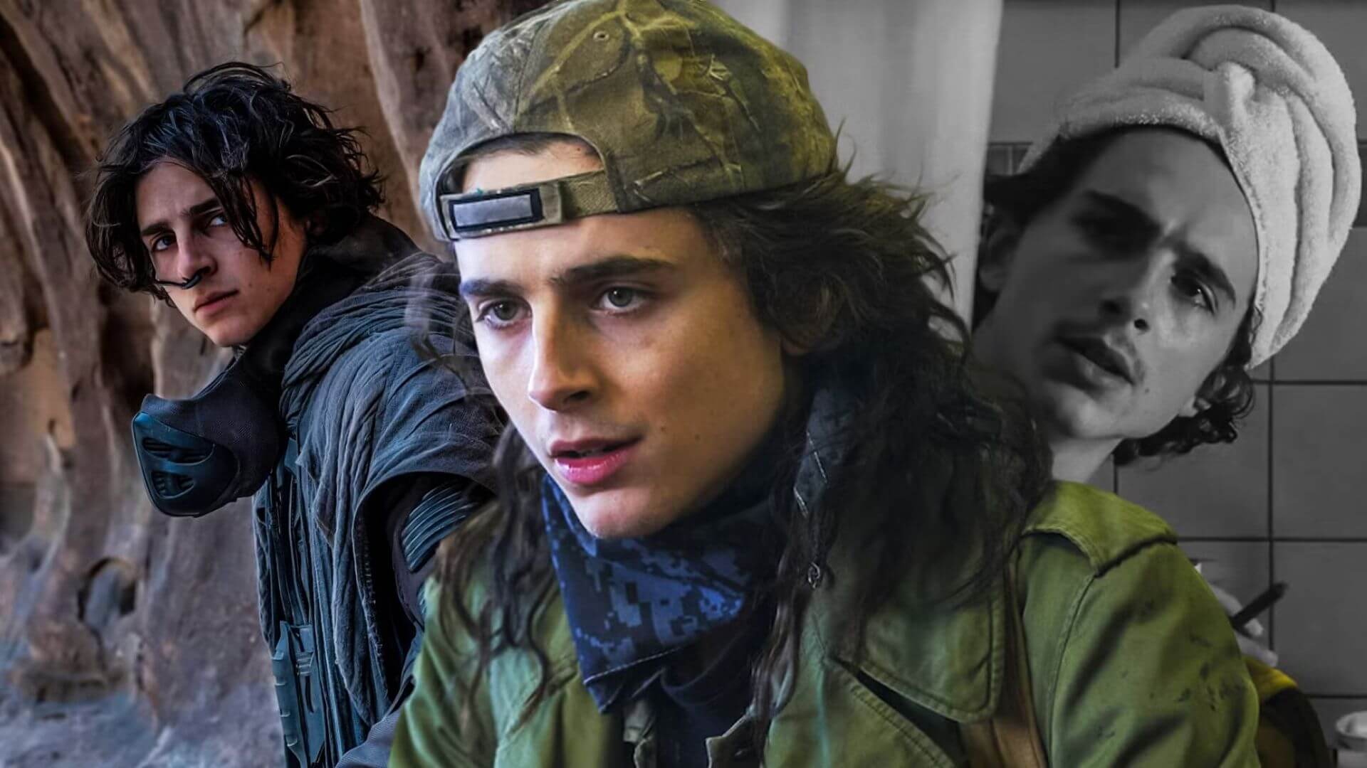 Timothée Chalamet Hayatı, Kariyeri ve Şaşırtıcı Gerçekler