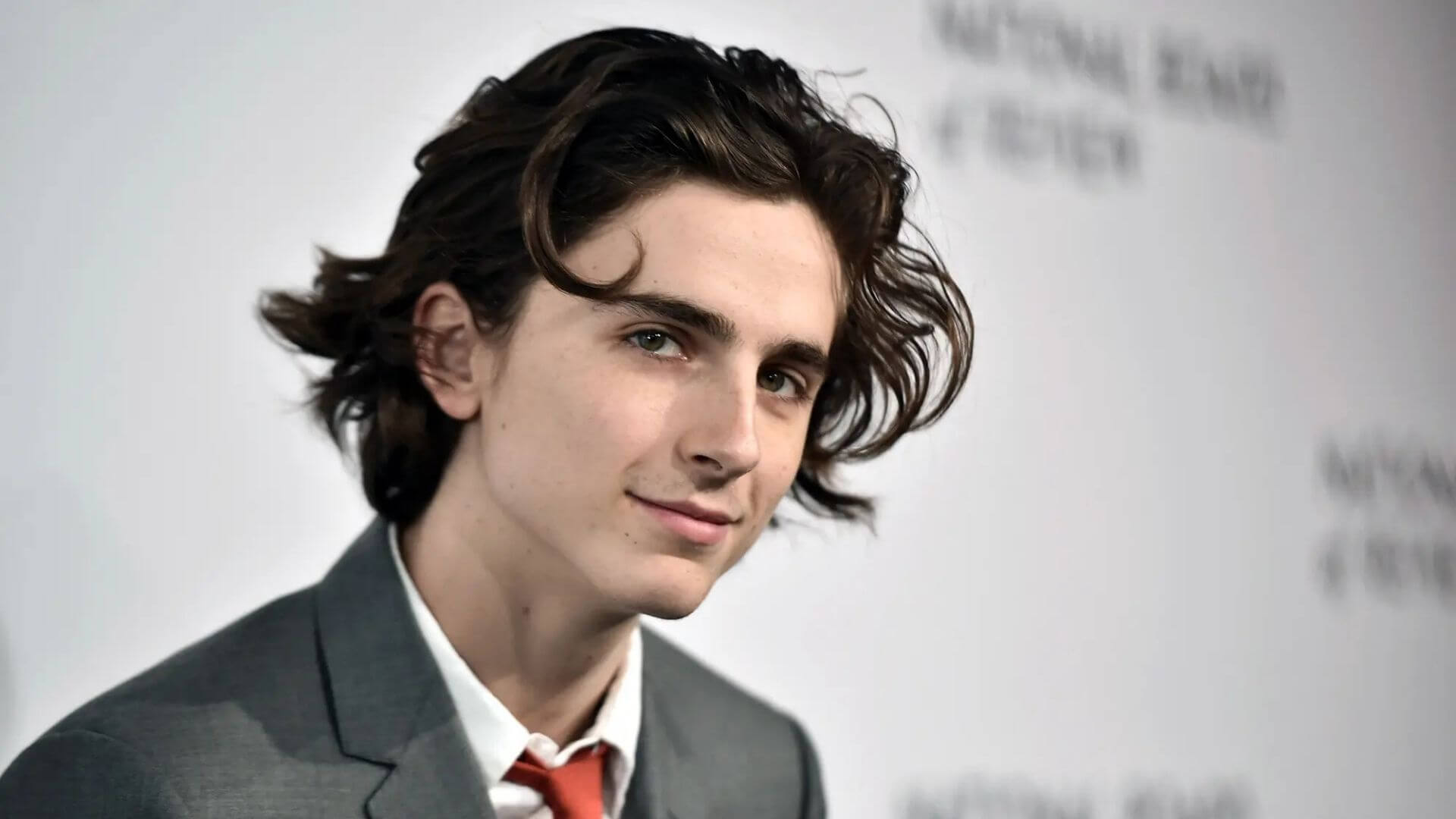 Timothée Chalamet Hayatı, Kariyeri ve Şaşırtıcı Gerçekler