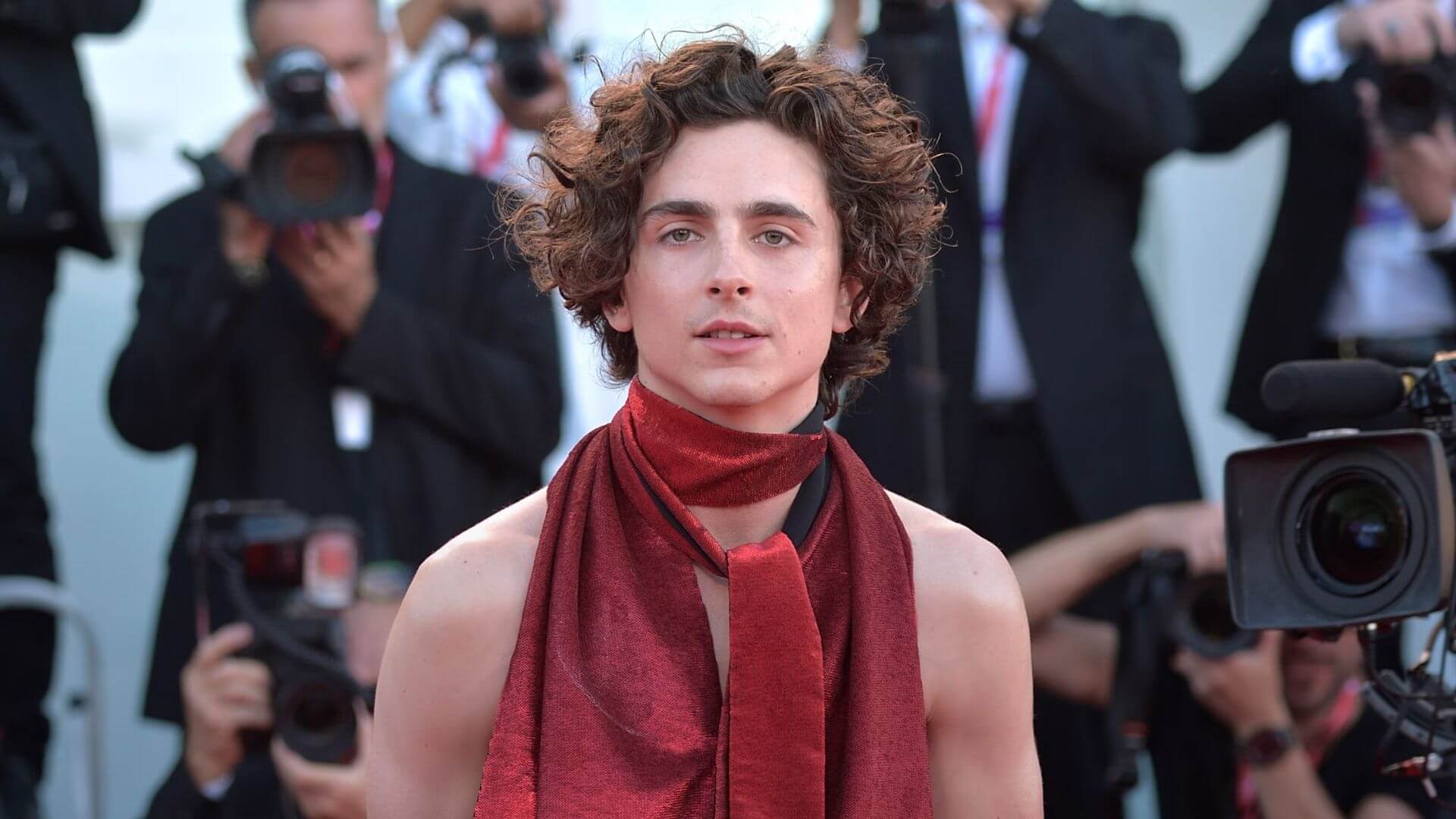 Timothée Chalamet Hayatı, Kariyeri ve Şaşırtıcı Gerçekler