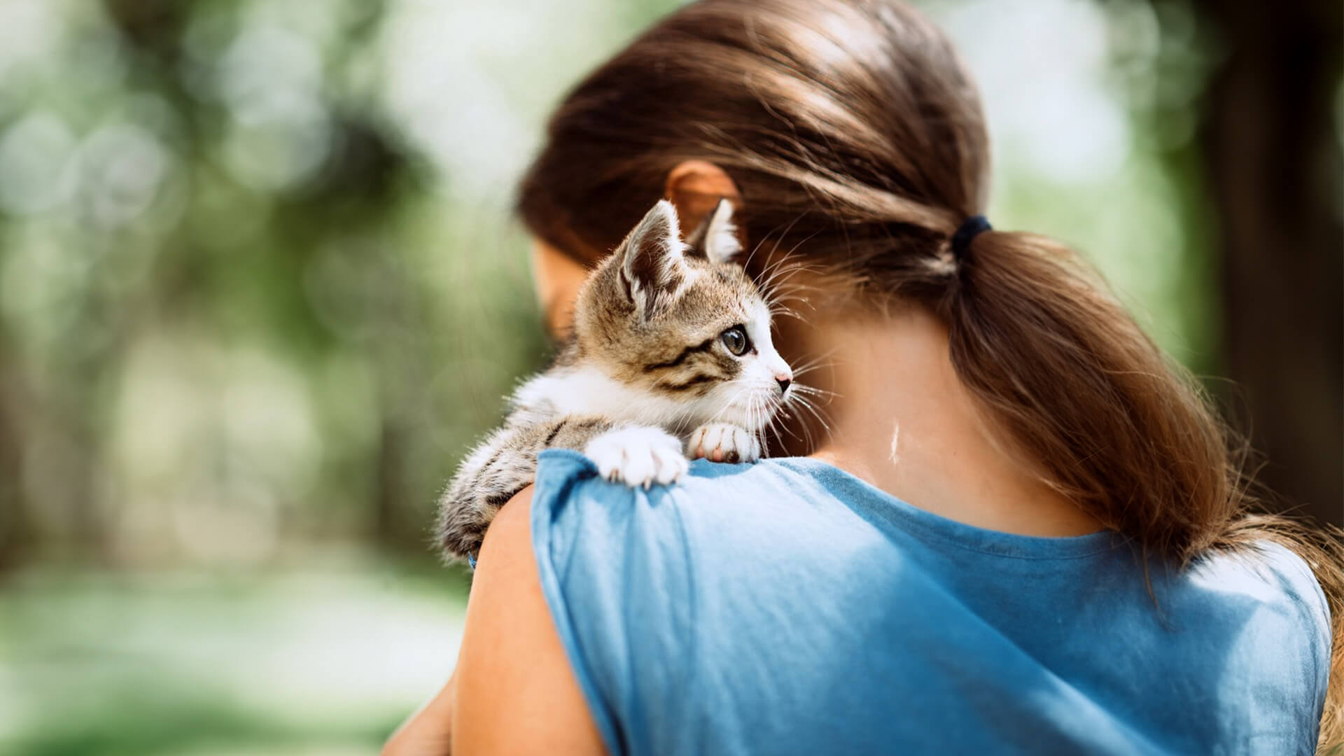 Kedi Sahiplenmenin Beyne Faydaları: Duygusal ve Zihinsel Etkiler