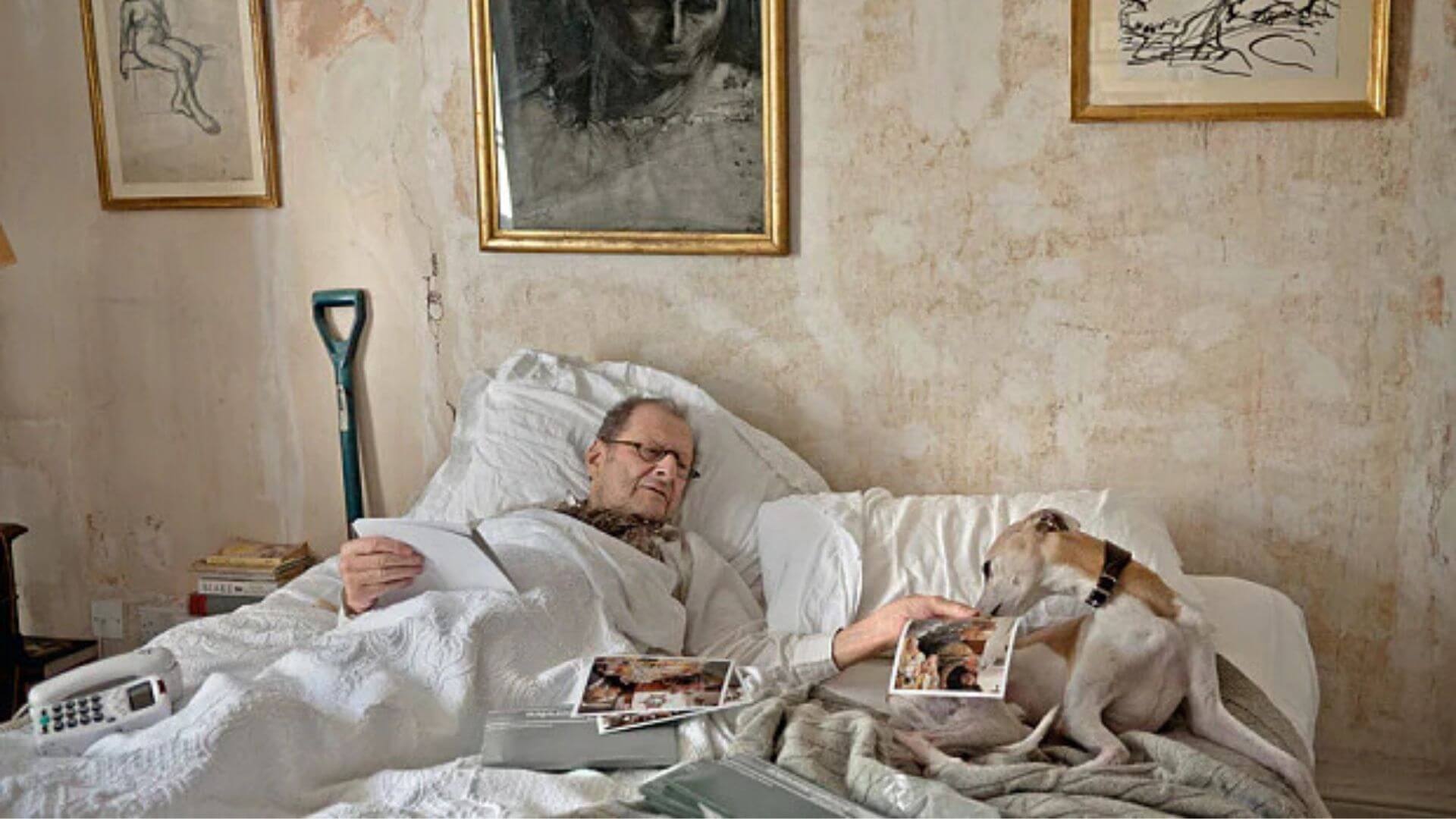 Köpek Dostları Ünlü Sanatçılar