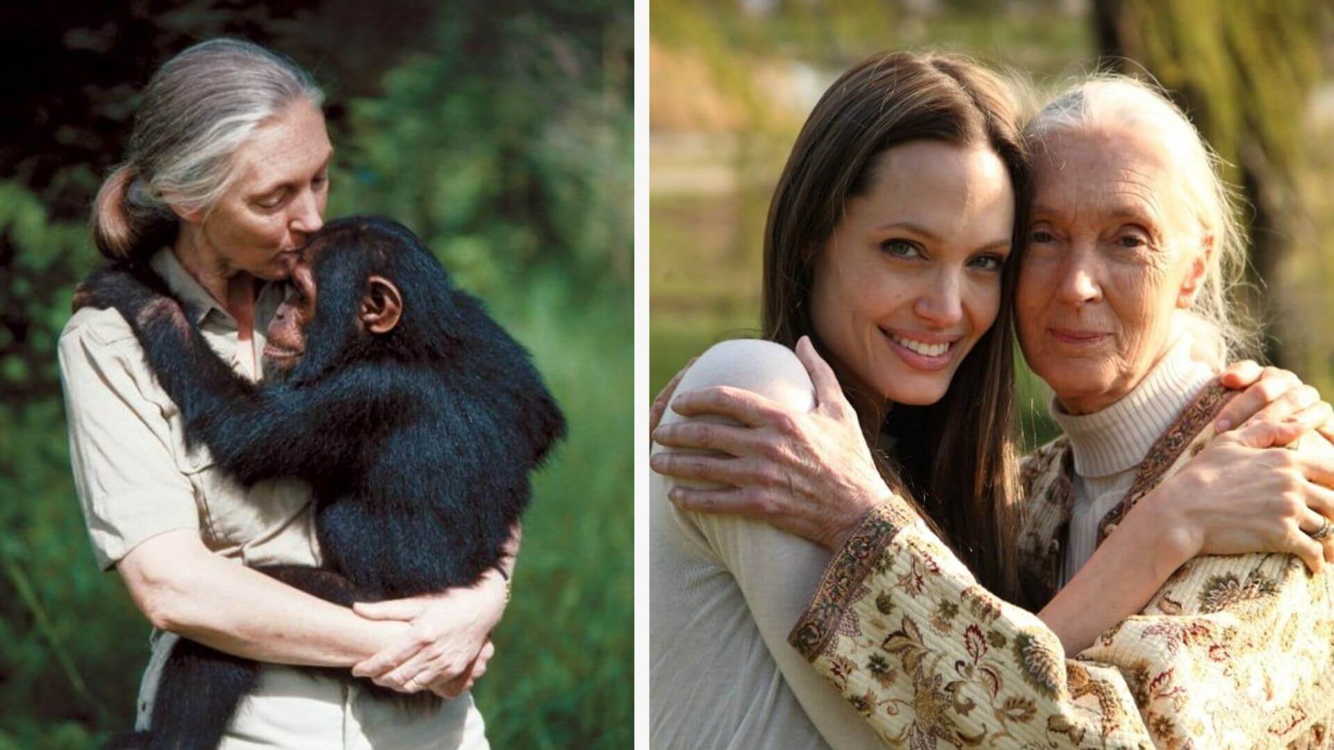 Jane Goodall’un Hayatı ve Mirası: Umudun ve Doğa Korumanın İkonu
