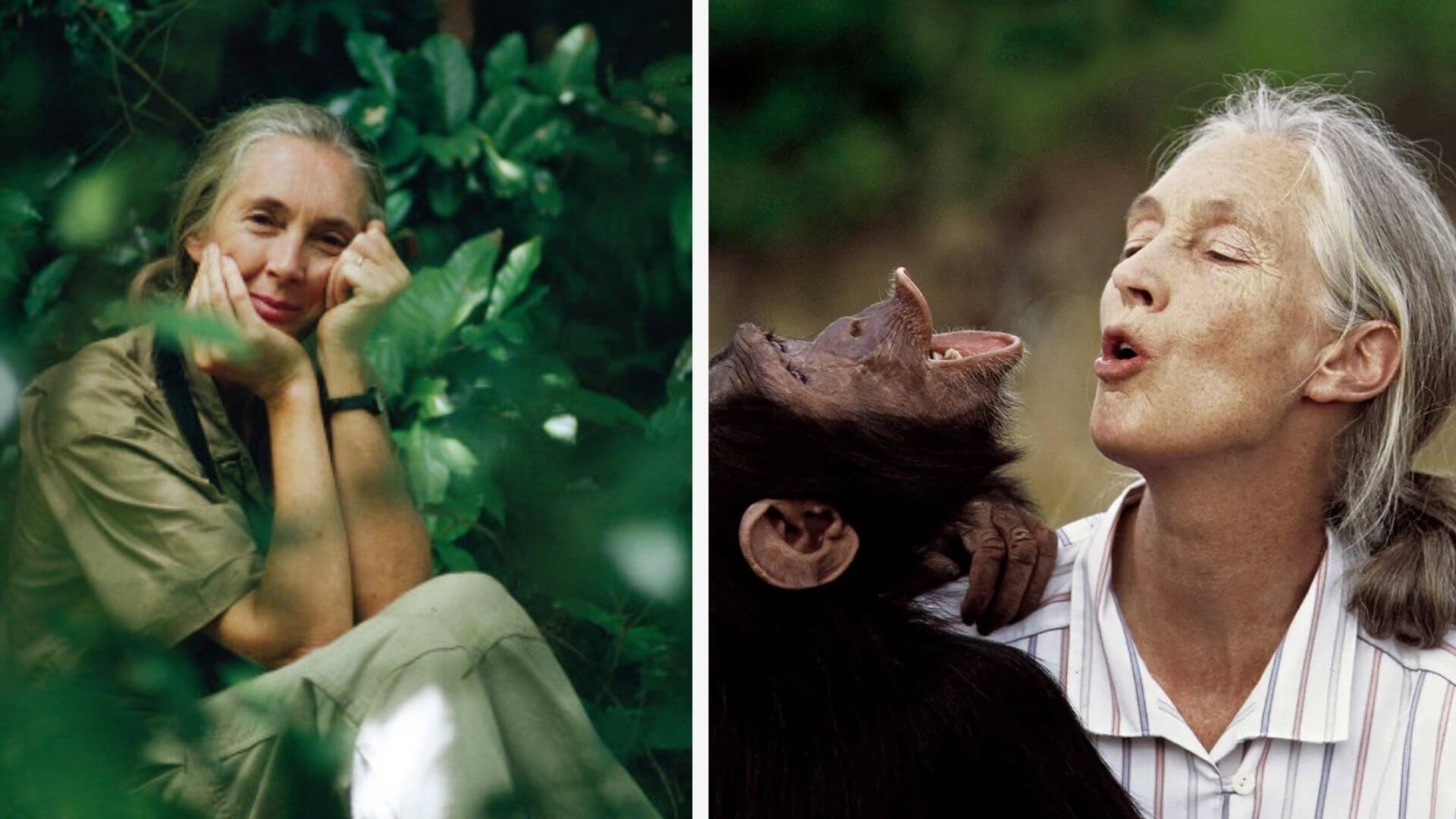 Gençlik inancı, Jane Goodall Enstitüsü’nün imza programı Roots & Shoots’ta somutlaştı.