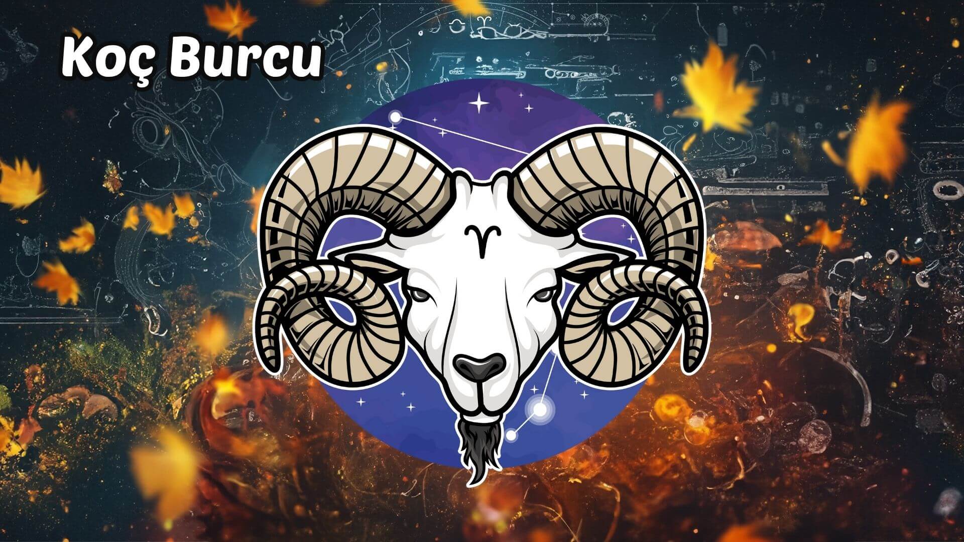 Koç Burcu
