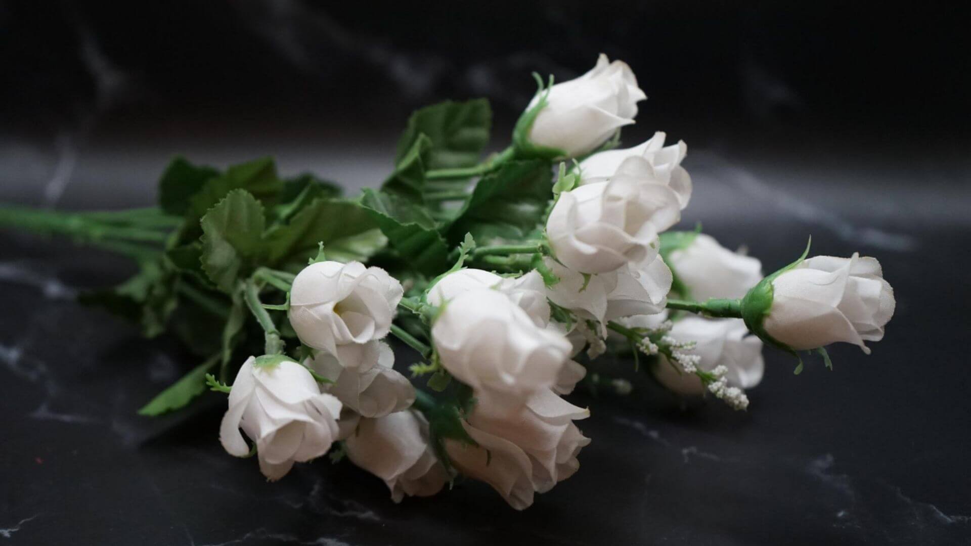 Beyaz Gül Anlamı ve Sembolizmi