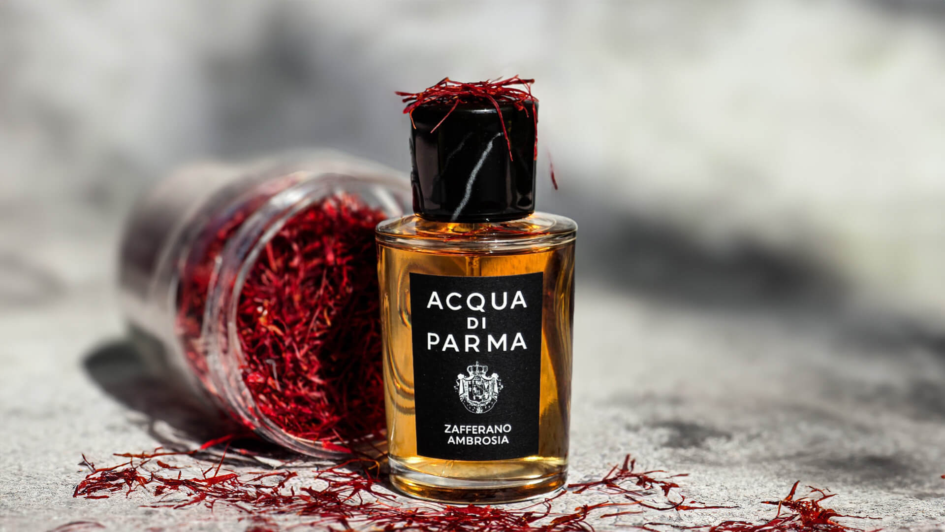 Parfüm Hediye Rehberi - Herkes İçin Mükemmel Koku