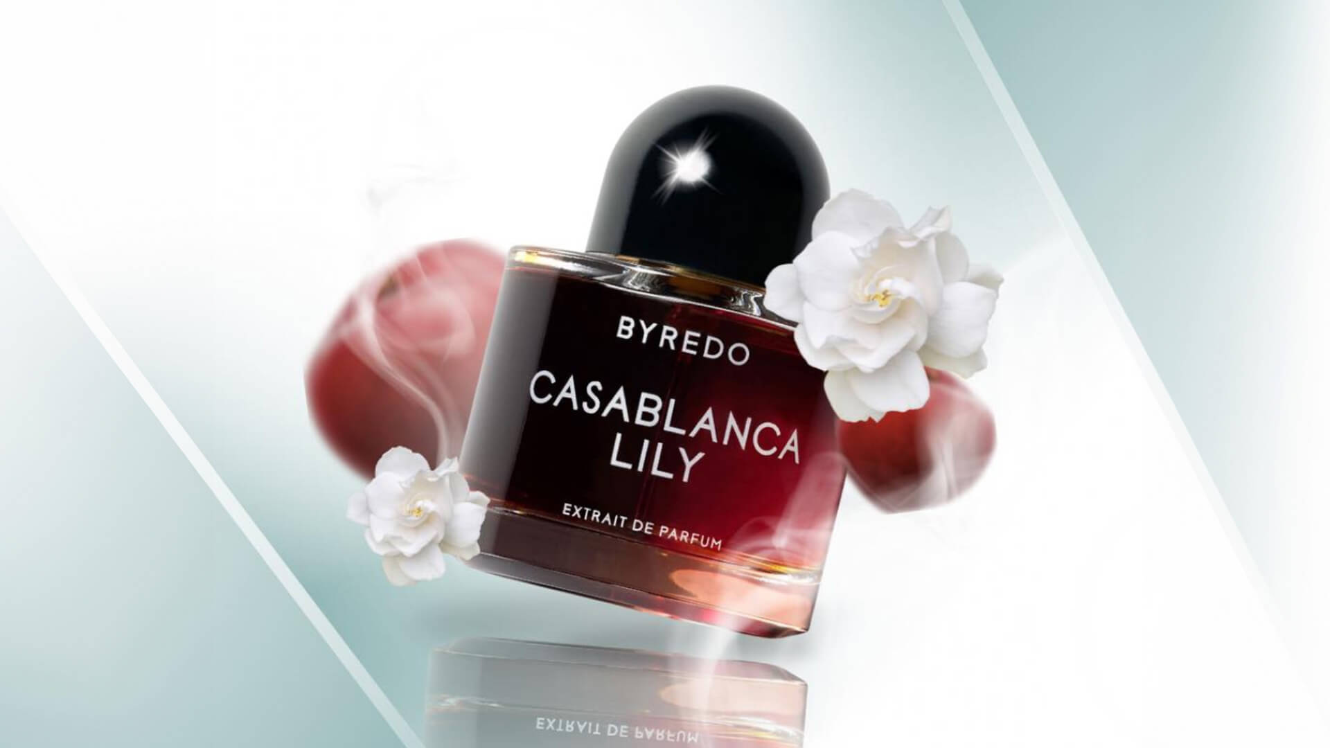 Parfüm Hediye Rehberi - Herkes İçin Mükemmel Koku