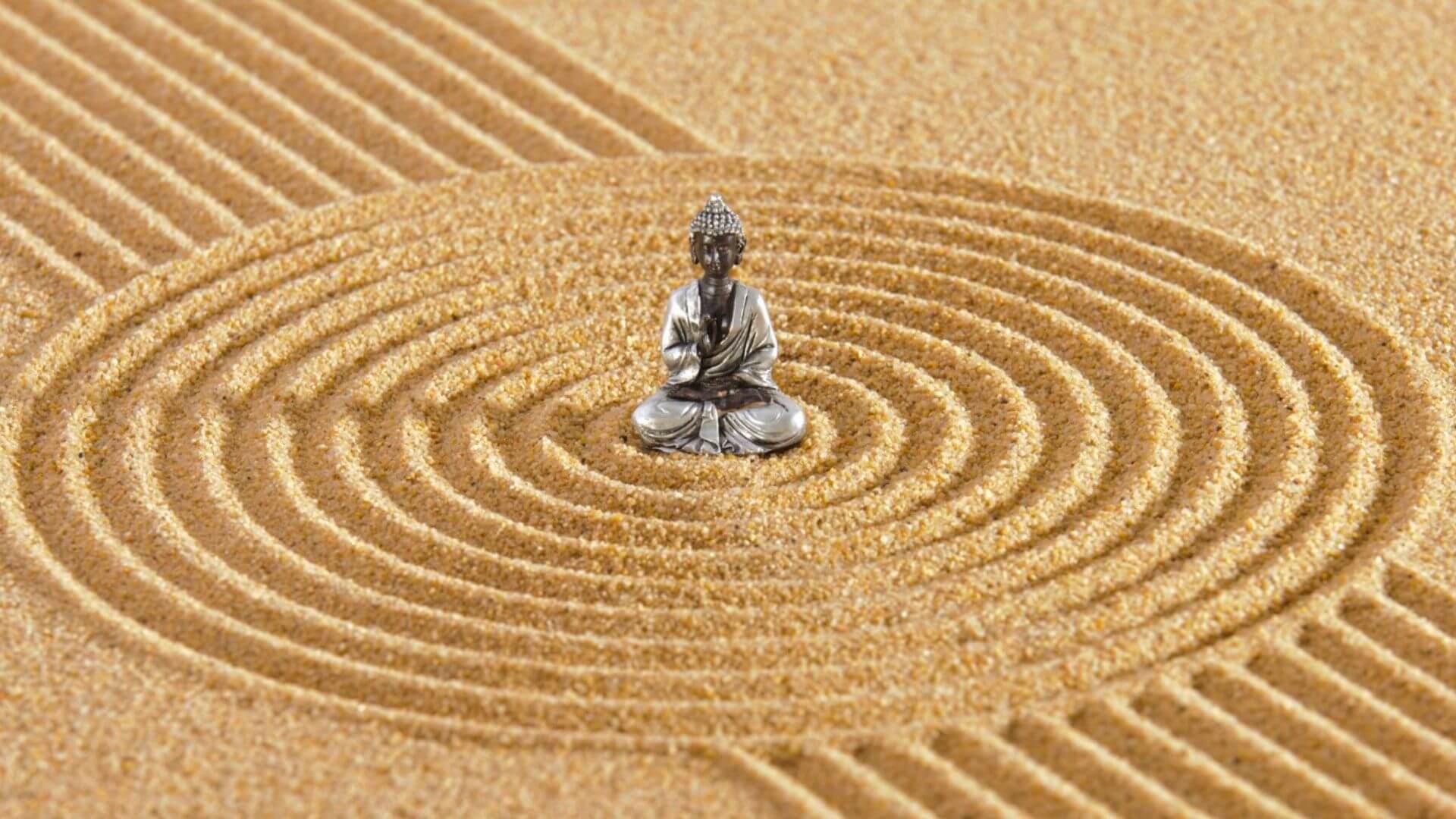 İkigai Hakkında Her Şey 