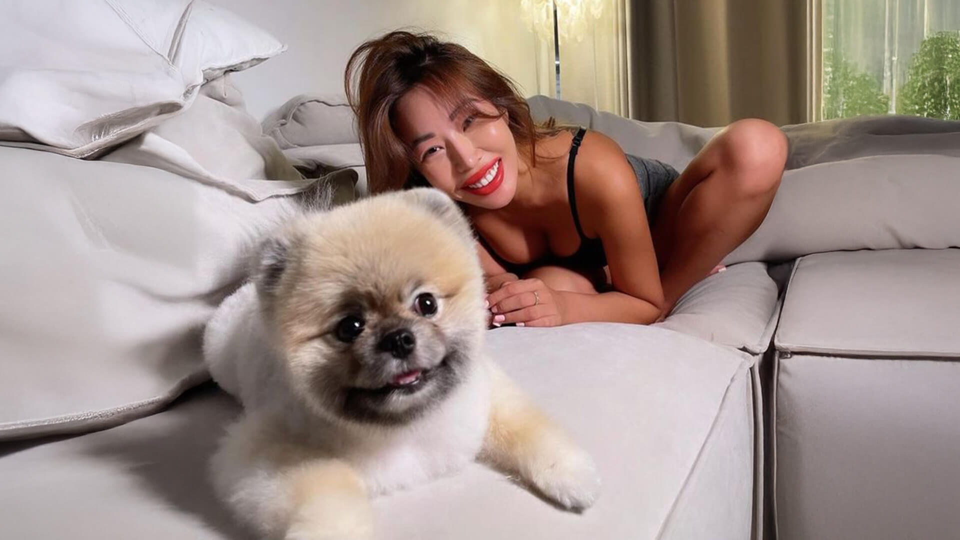 Koreli Yıldızlar ve Kedi İle Köpekleri