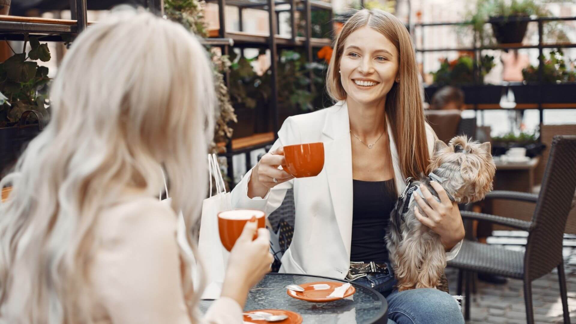 Bilinçli Sağlık Anlayışı