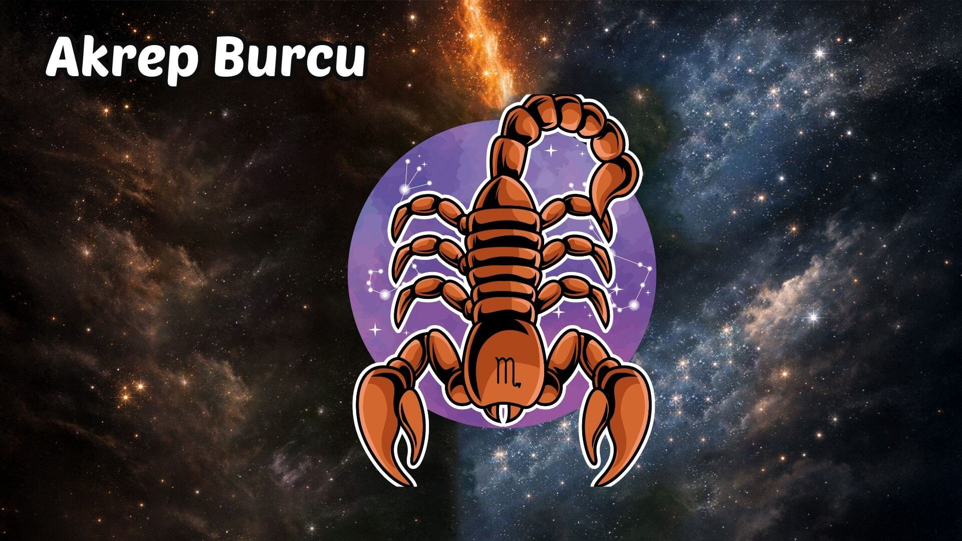 16 Şubat - 22 şubat 2026 Haftalık Burç Yorumları