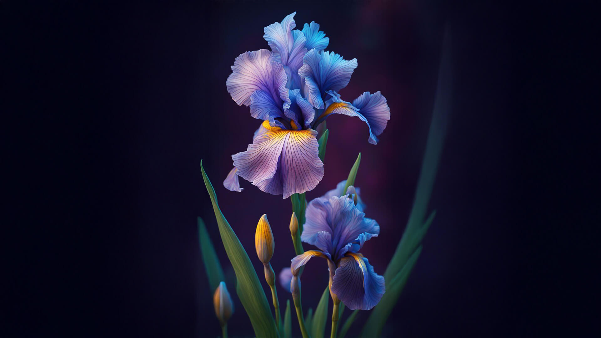 Şubat Ayı Doğum Çiçekleri - Menekşe, Süsen ve Çuha Çiçeği