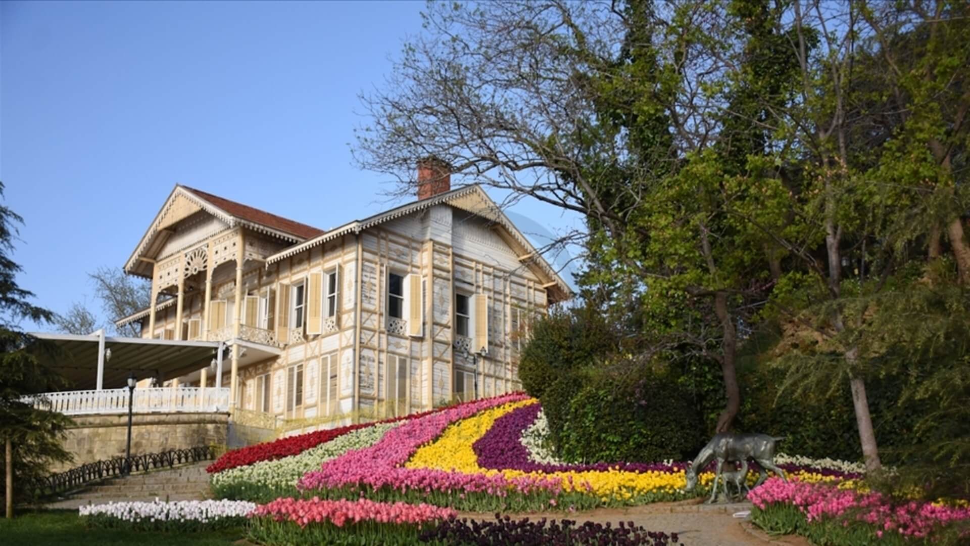 Emirgan Korusu Lale Festivali