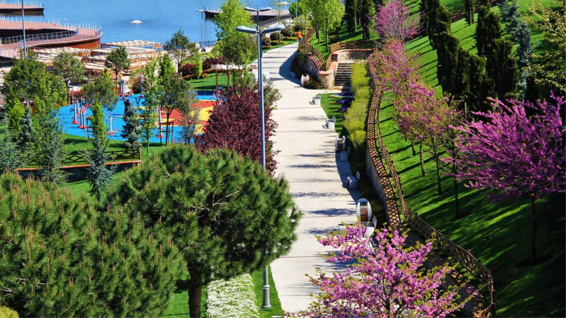 İstanbul Erguvan Mevsimi 2026