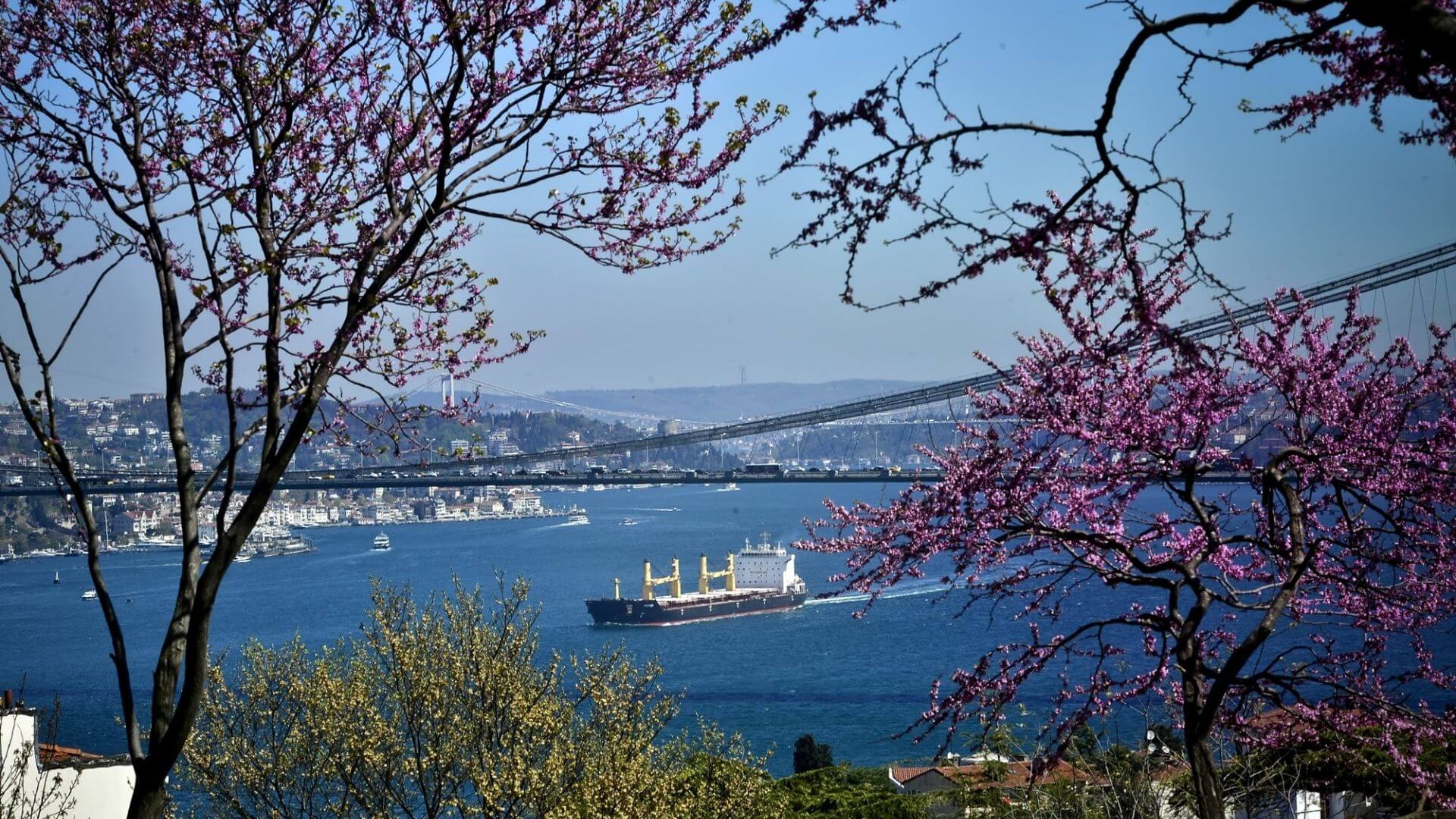 İstanbul Erguvan Mevsimi 2026