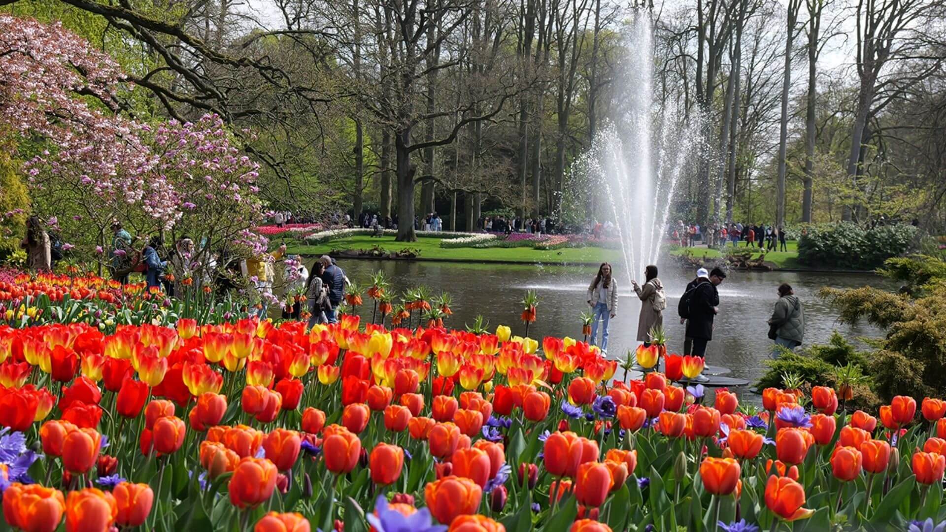 Emirgan Korusu Lale Festivali