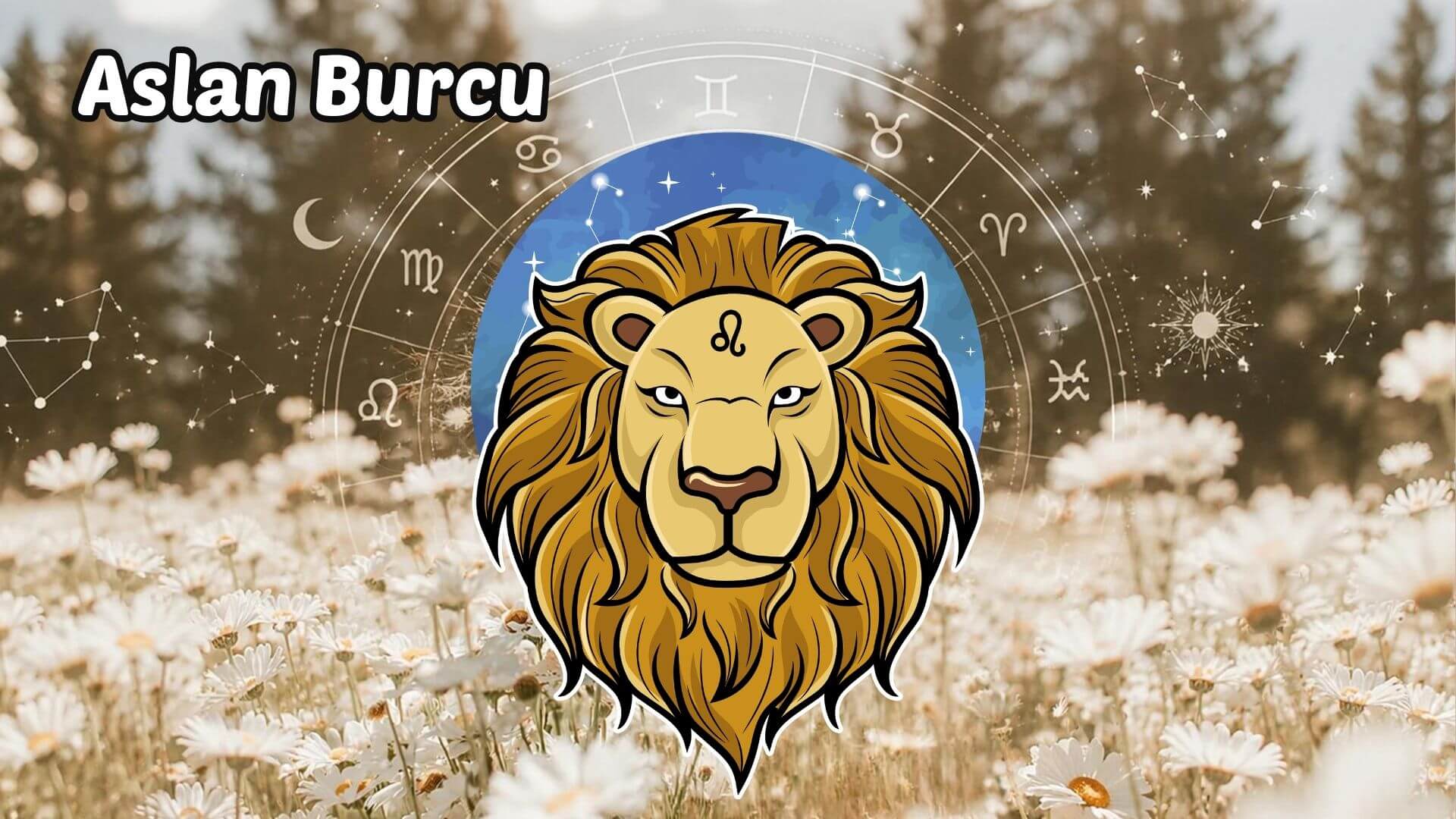 20 Temmuz - 26 Temmuz 2026 Haftalık Burç Yorumları